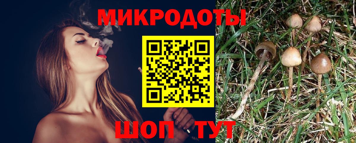 Галлюциногенные грибы мицелий Ейск